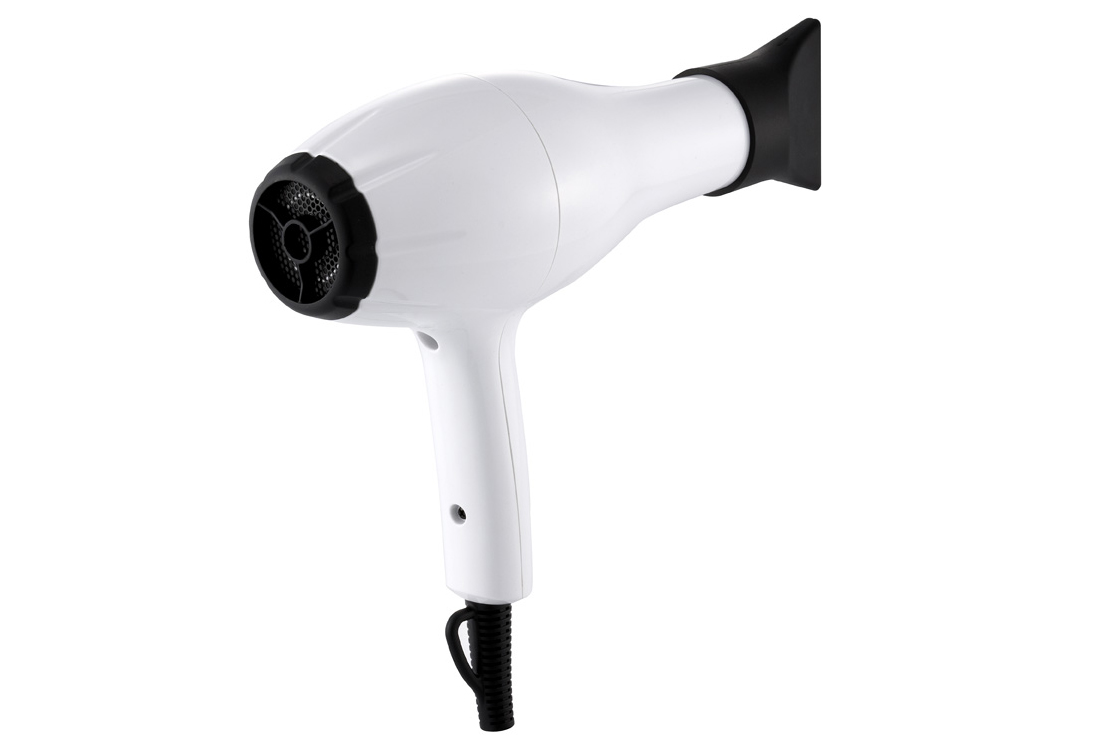 Professional Hair Dryer